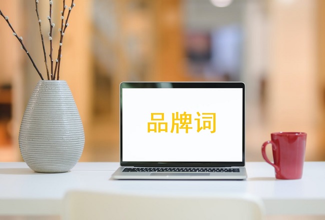 被忽略的品牌词计划！封面