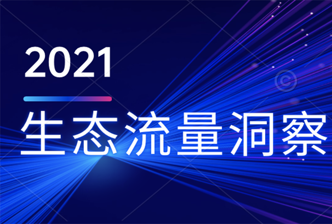 2021全景生态流量洞察：多元入口抢夺战打响封面