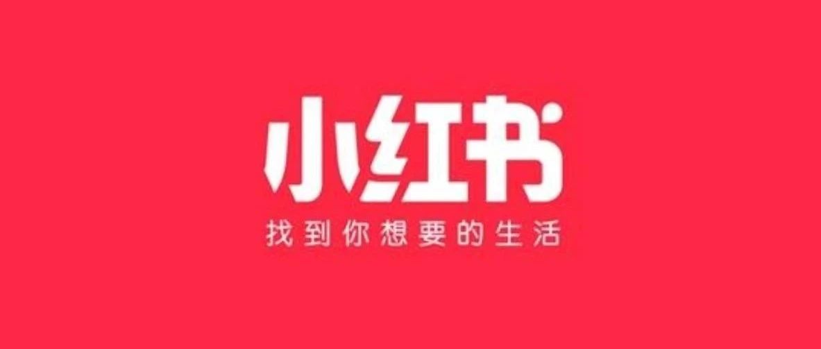 「小红书保姆级投放手册」品牌如何利用数据分析进行小红书平台的精准投放？封面