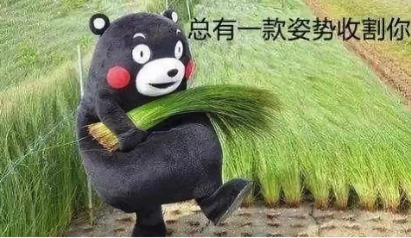 做新消费品牌，广告是手段、公关是结果封面