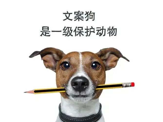 一个合格文案人究竟如何抄？封面