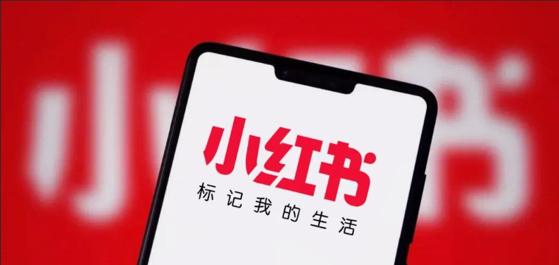 小红书新号咋涨粉？看完就会封面