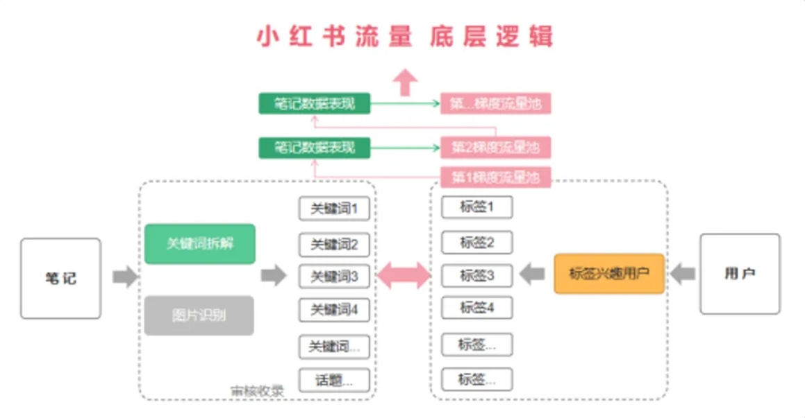 小红书分发逻辑：推荐、搜索、直播封面