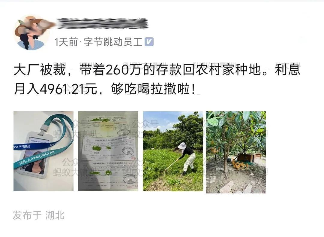字节女员工：大厂被裁，带着260万存款回老家种地封面