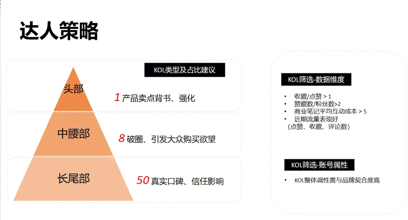 小红书投放策略制定全流程封面