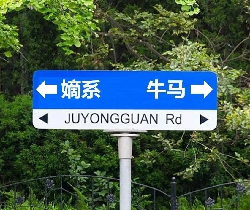 以为自己是老板嫡系，直到被裁才发现...封面