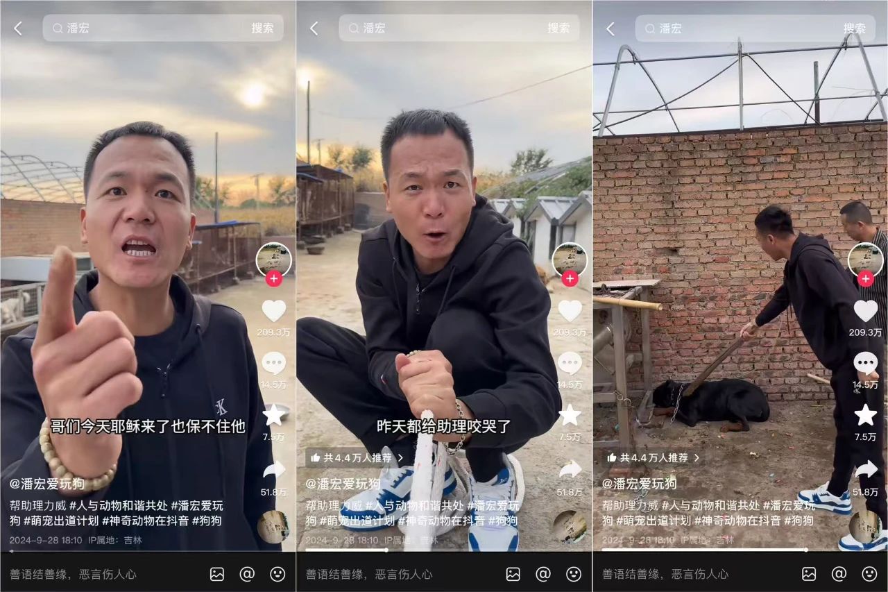 咆哮式训狗吸粉千万，宠物赛道迎来新解法？封面
