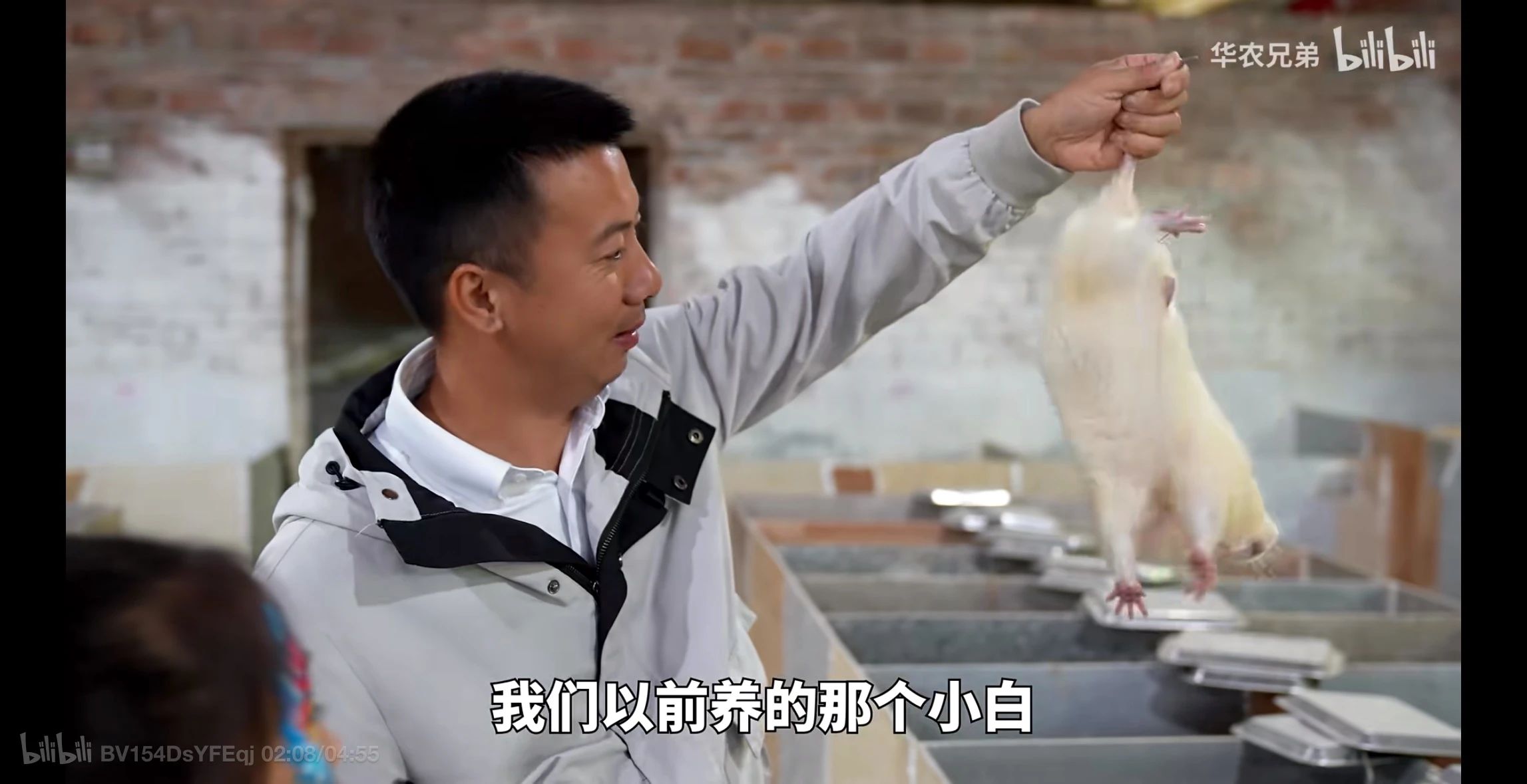 “白月光”接连回归，田园赛道要“变天”？封面