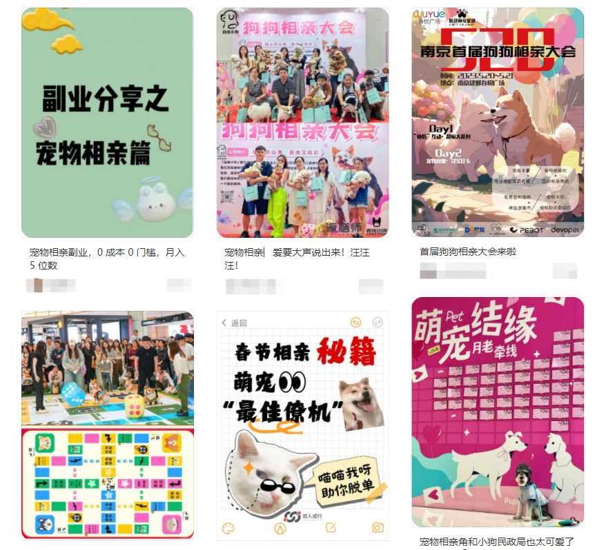 萌宠经济爆发！谁在靠“毛孩子”闷声发财？封面