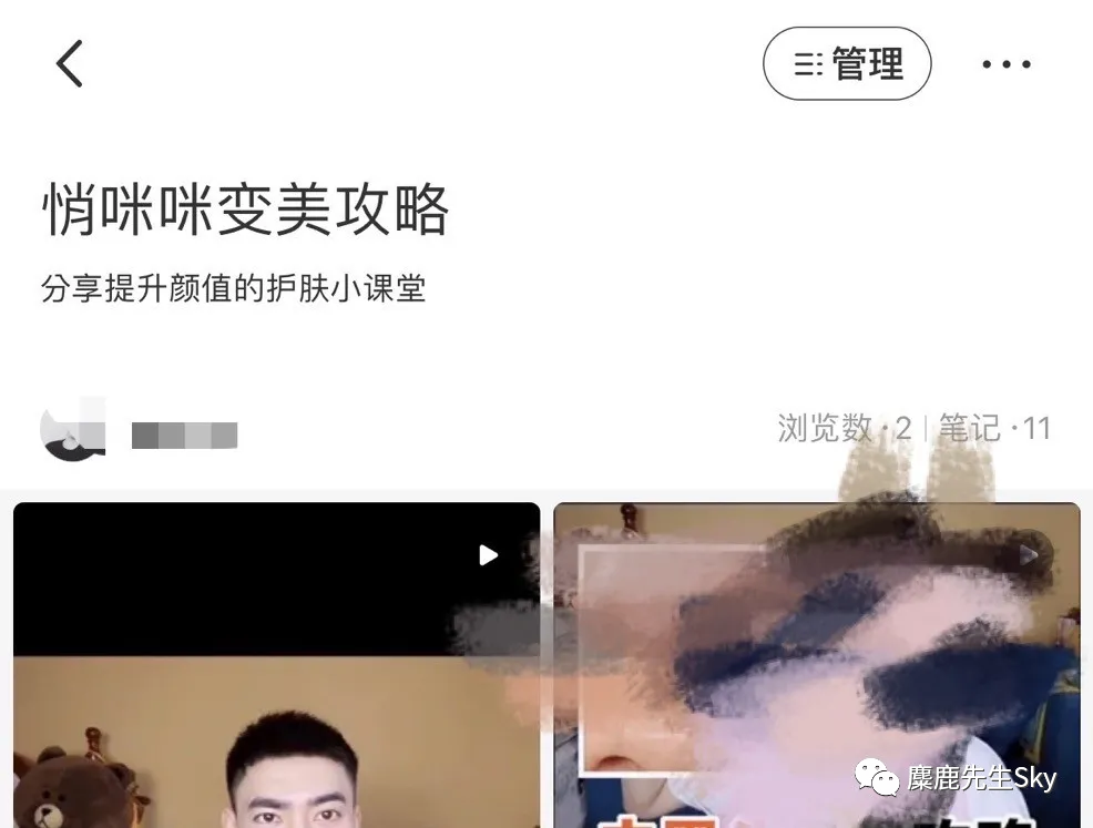 小红书视频话玩法攻略，你们好奇的新玩法都在这里