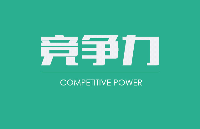 做一个大型网站，你的核心竞争力是什么？封面