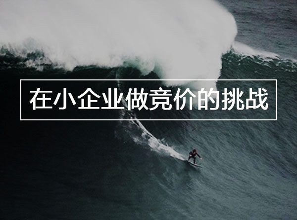 为什么我不建议大家去小企业做SEM竞价？封面