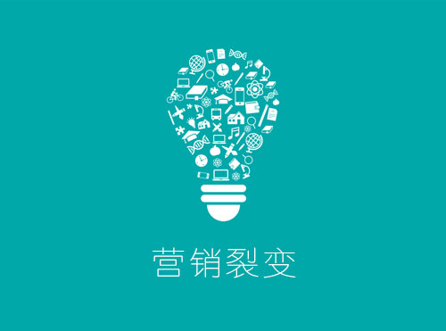 左手SEM右手DSP，通往裂变营销之路！封面