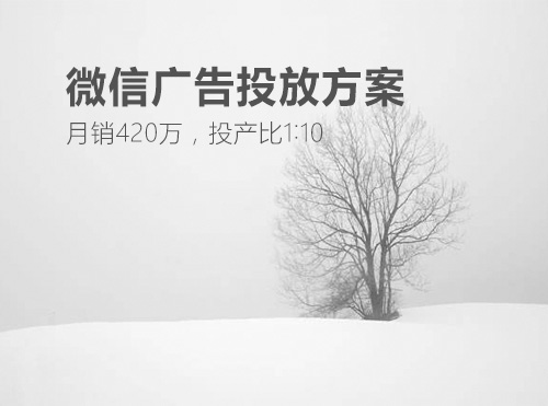 创业公司微信广告投放方案，月销420万，投产比1:10封面