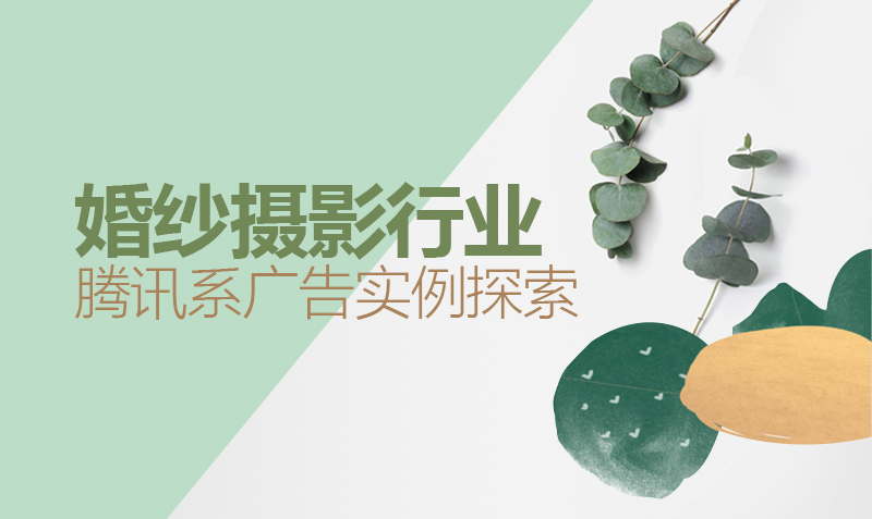 大树:婚纱摄影行业腾讯系广告实例探索 大树:婚纱摄影行业腾讯系广告实例探索