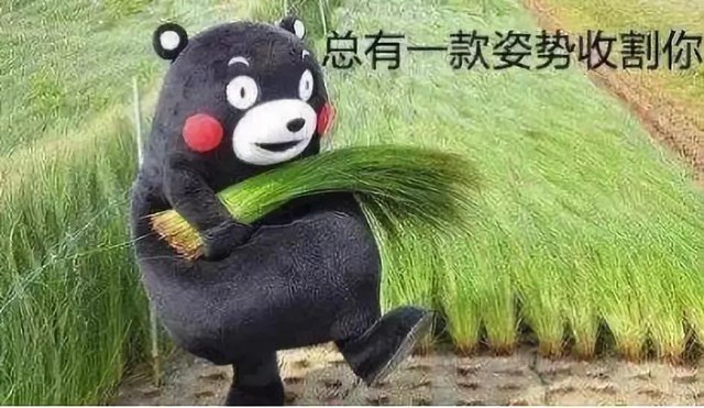 做新消费品牌，广告是手段、公关是结果封面
