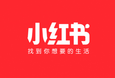 小红书运营矩阵：从0到1打造爆文（万字文解答)封面