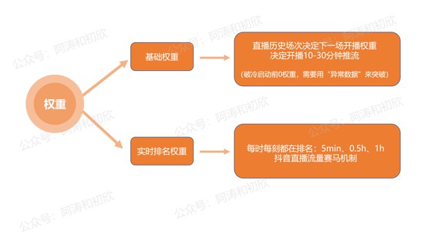 抖音电商算法深度解析，一文讲透权重&流量分配原理封面