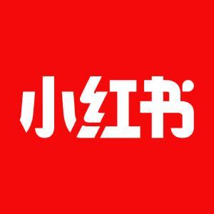 1 亿人的小红书：时机、摇摆和决心封面