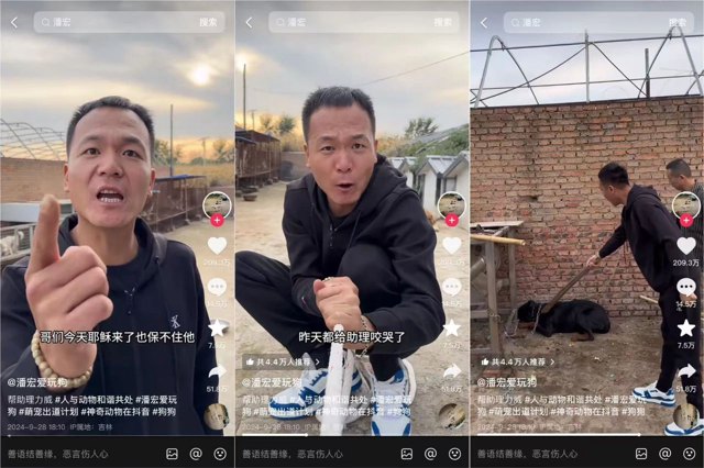 咆哮式训狗吸粉千万，宠物赛道迎来新解法？封面