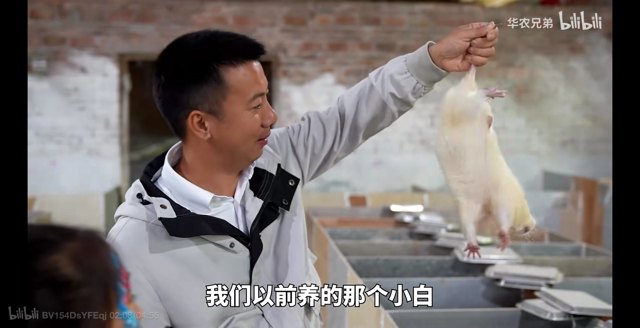 “白月光”接连回归，田园赛道要“变天”？封面
